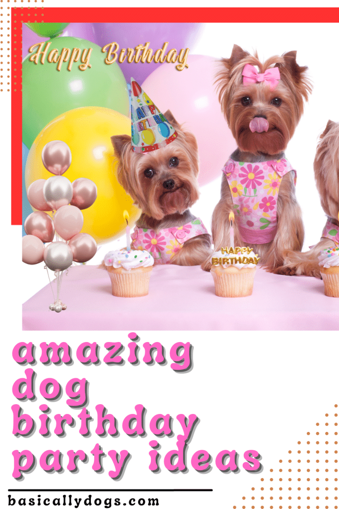 amazing dog birthday party ideas pin 2