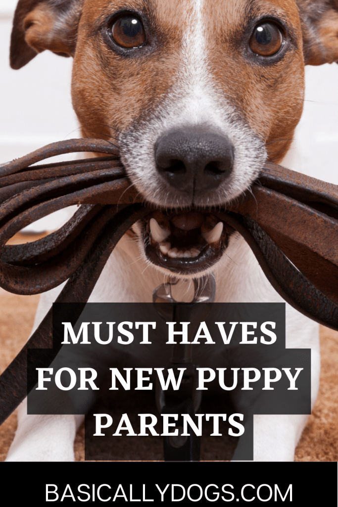 Must Haves for New Puppy Parents pin 1
