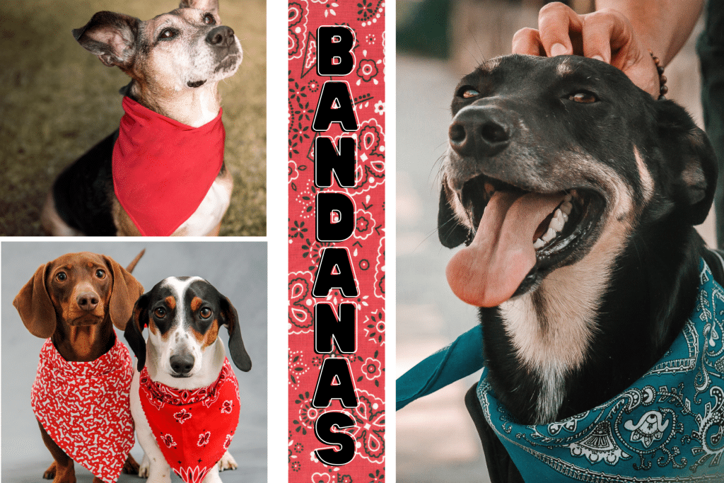 Easy Dog Crafts for Kids of all Ages bandanas