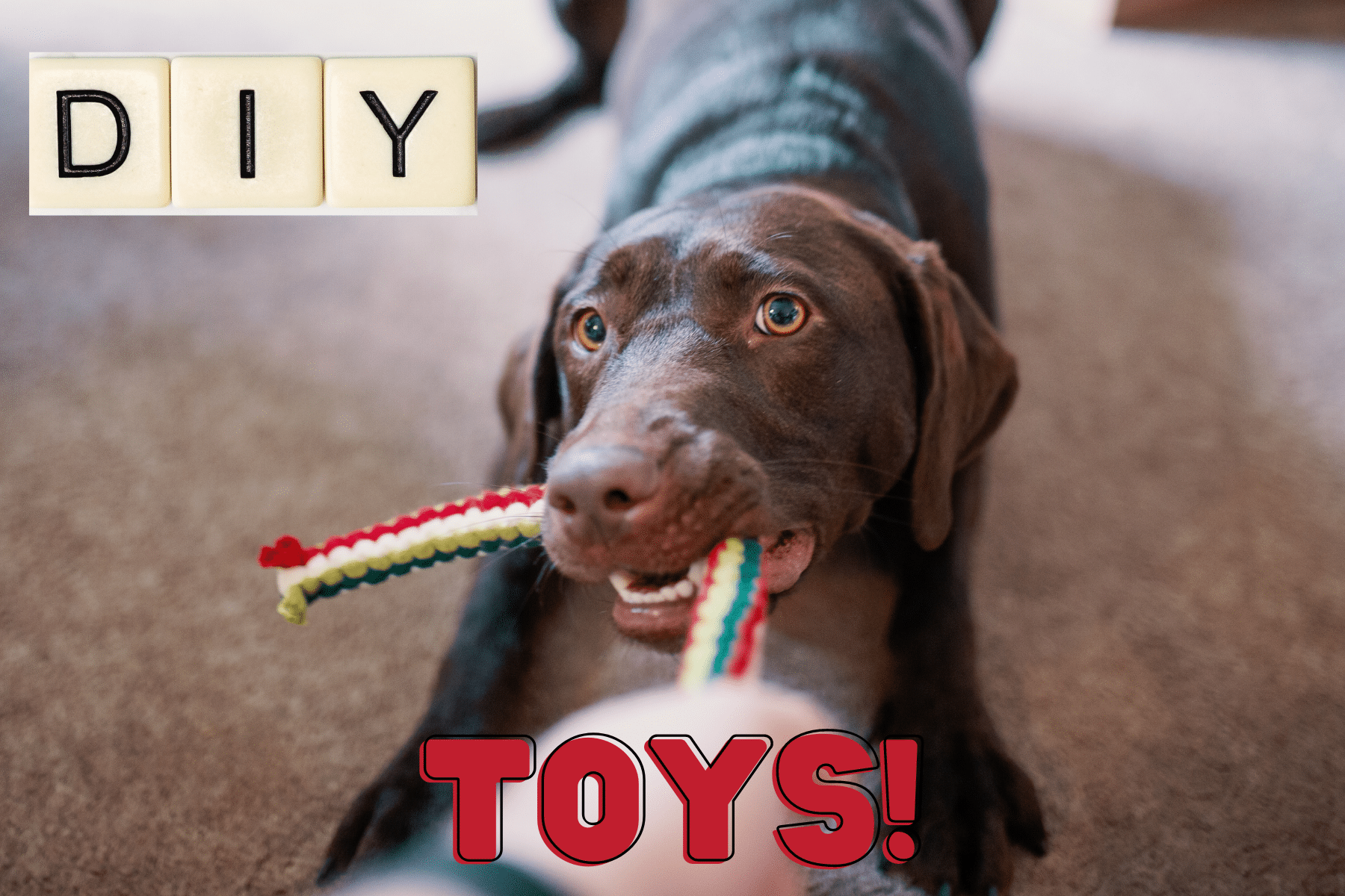 Easy Dog Crafts for Kids of all Ages more toys