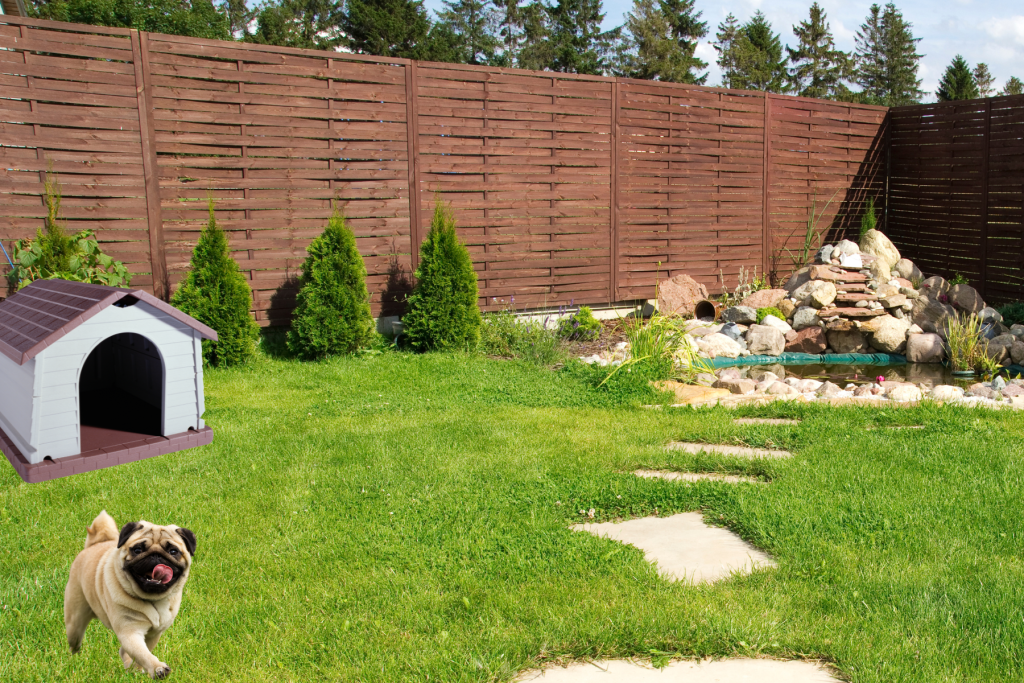 How to Create Dog-Friendly Ideas for Your Backyard dog house
