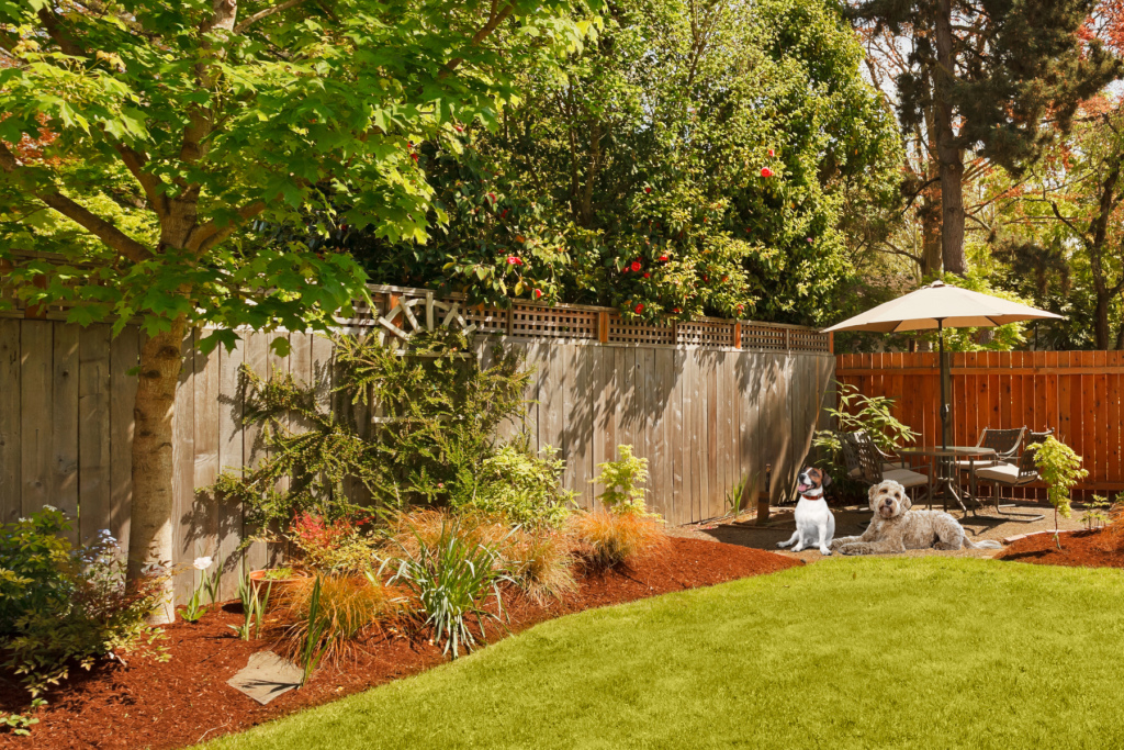 How to Create Dog-Friendly Ideas for Your Backyard fence