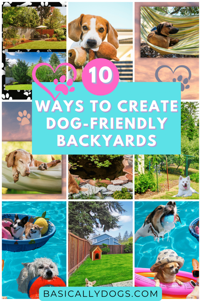 How to Create Dog-Friendly Ideas for Your Backyard pin 1