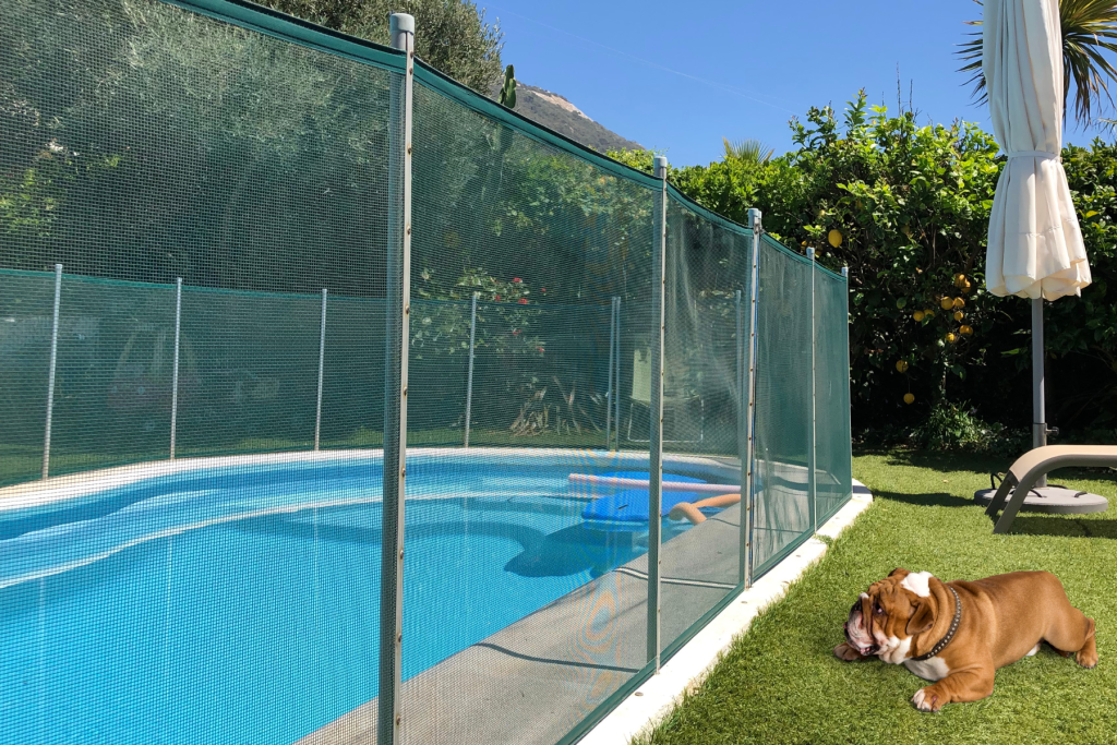 How to Create Dog-Friendly Ideas for Your Backyard pool fence
