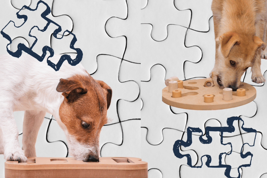 Must Haves for New Puppy Parents puzzle