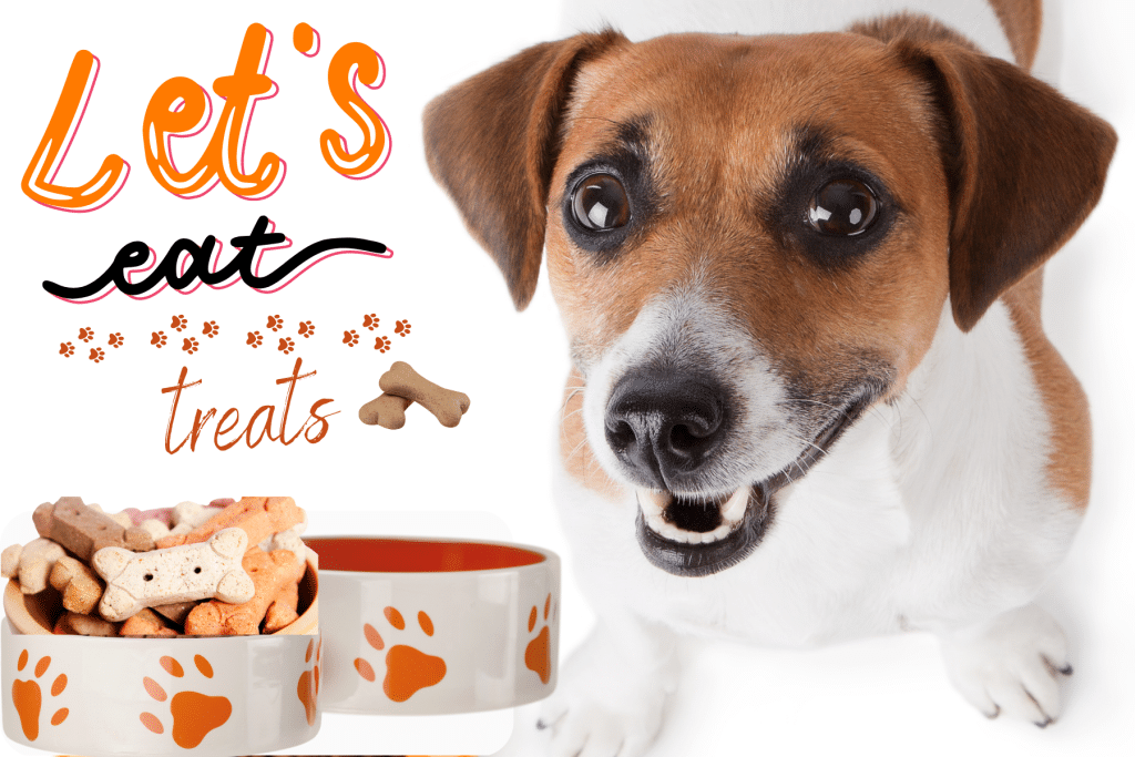 Must Haves for New Puppy Parents treats