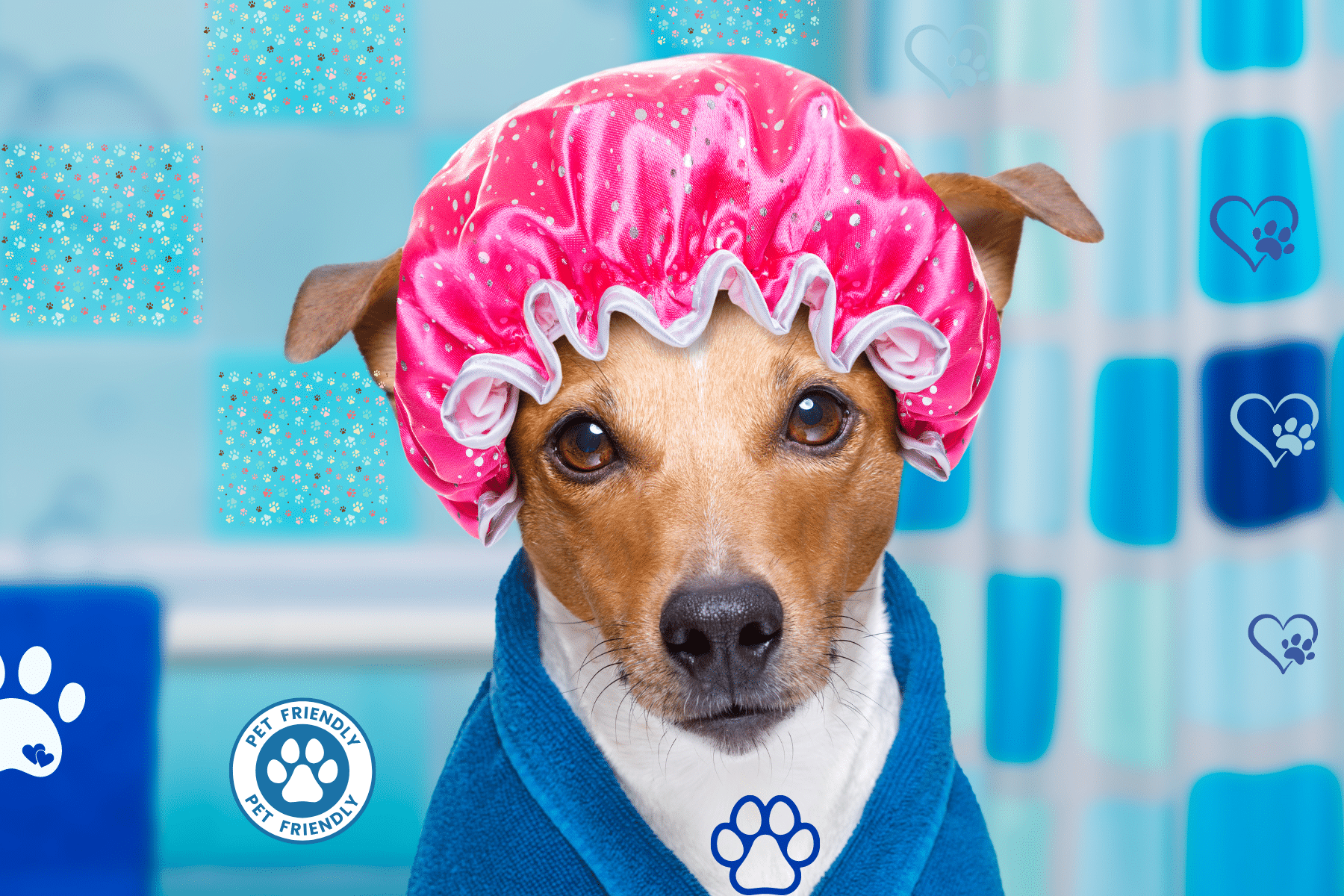 11 Best Dog Themed Bathroom Decor Ideas for Pet Lovers