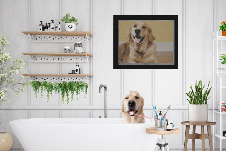 Best Dog Bathroom Decor Ideas for Your Home