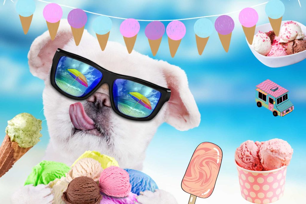 Dog Essentials for Summertime on a Patio ice cream