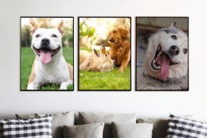Dog Themed Home Decor Products