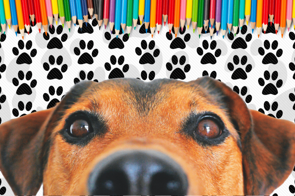 Free Adult Coloring Pages for Dog Lovers how to color