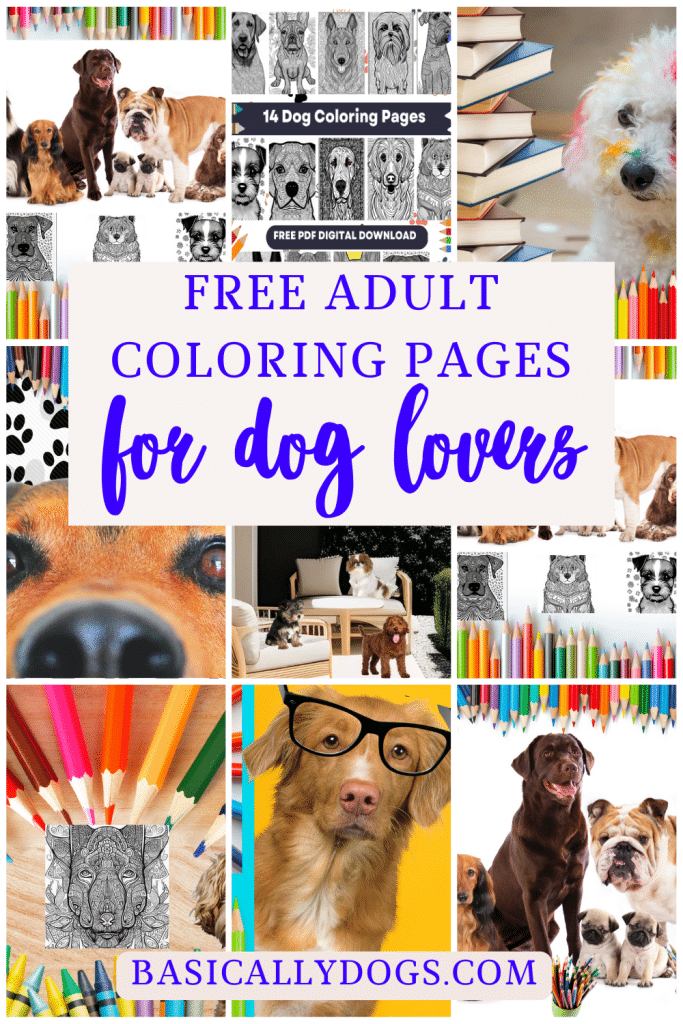 Free Adult Coloring Pages for Dog Lovers pins pin 7
