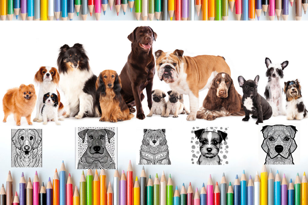 Free Adult Coloring Pages for Dog Lovers popular breeds