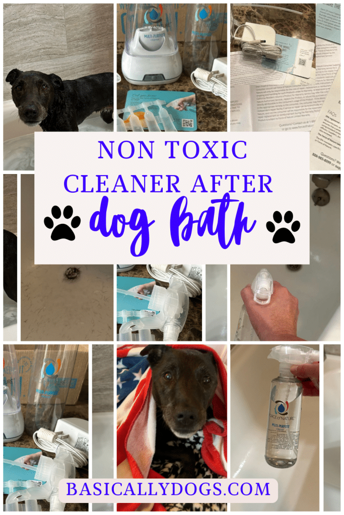Bathroom Cleaner with Your Dog pins 7