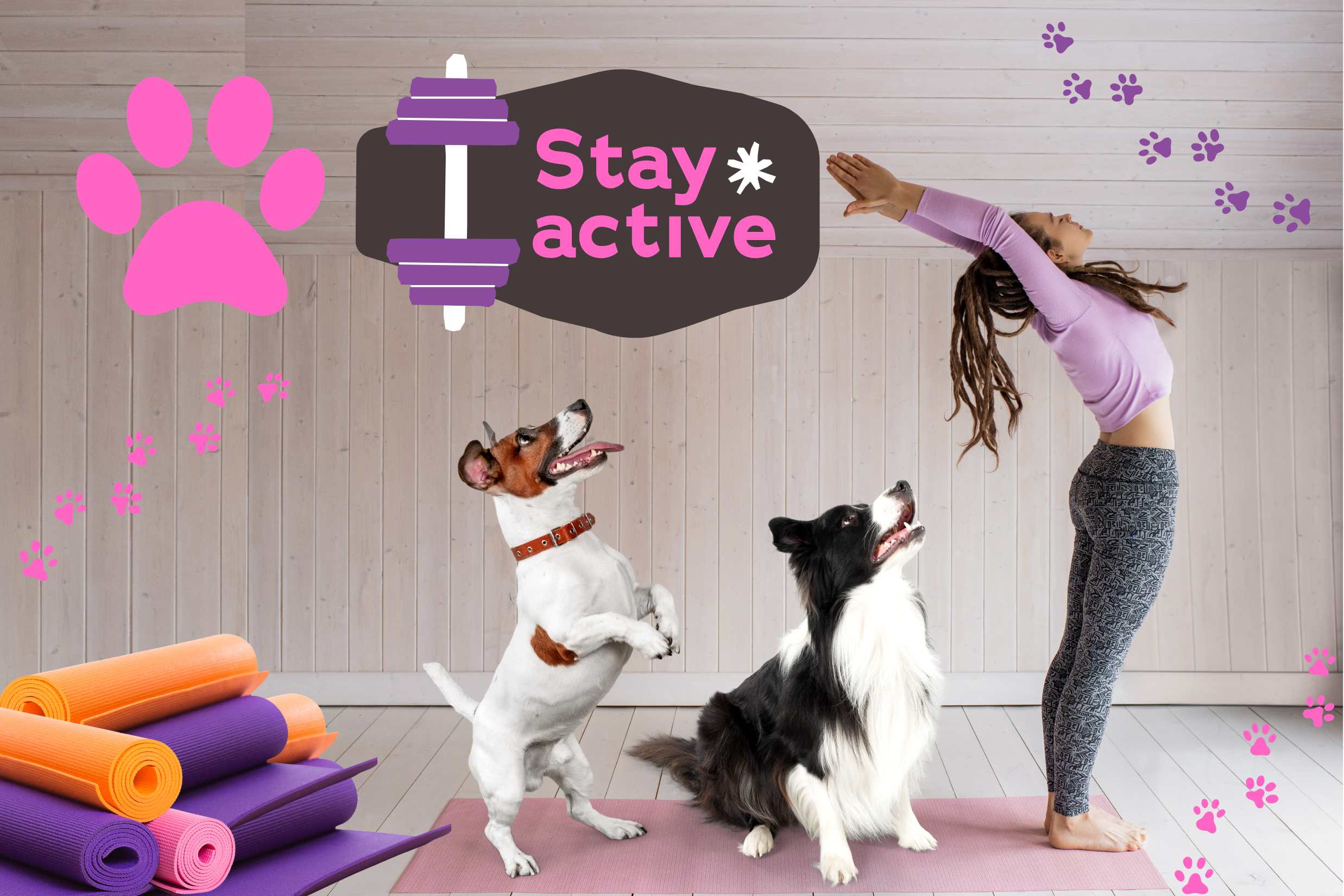 Exercise Workouts with Your Dog