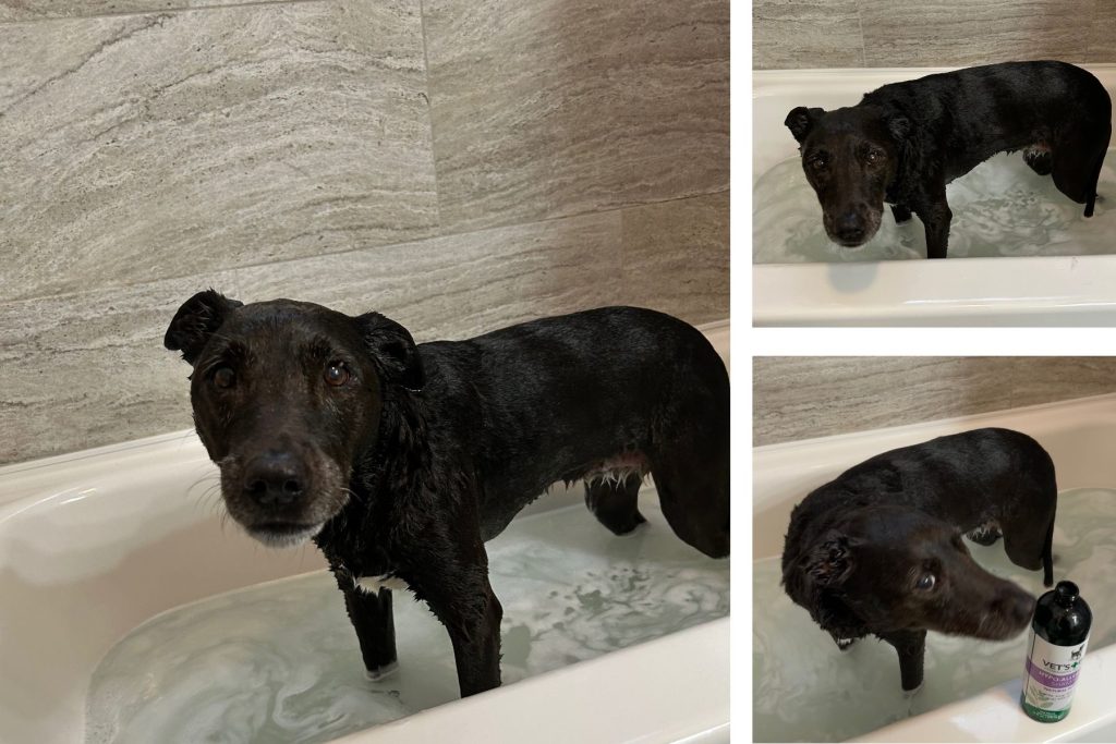 Non Toxic Cleaner After Dog Bath in bathtub