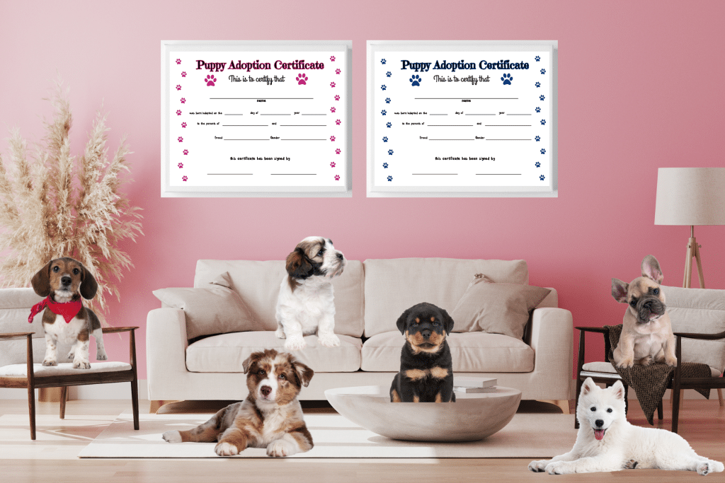 Free Pet Puppy Adoption Certificate Printable