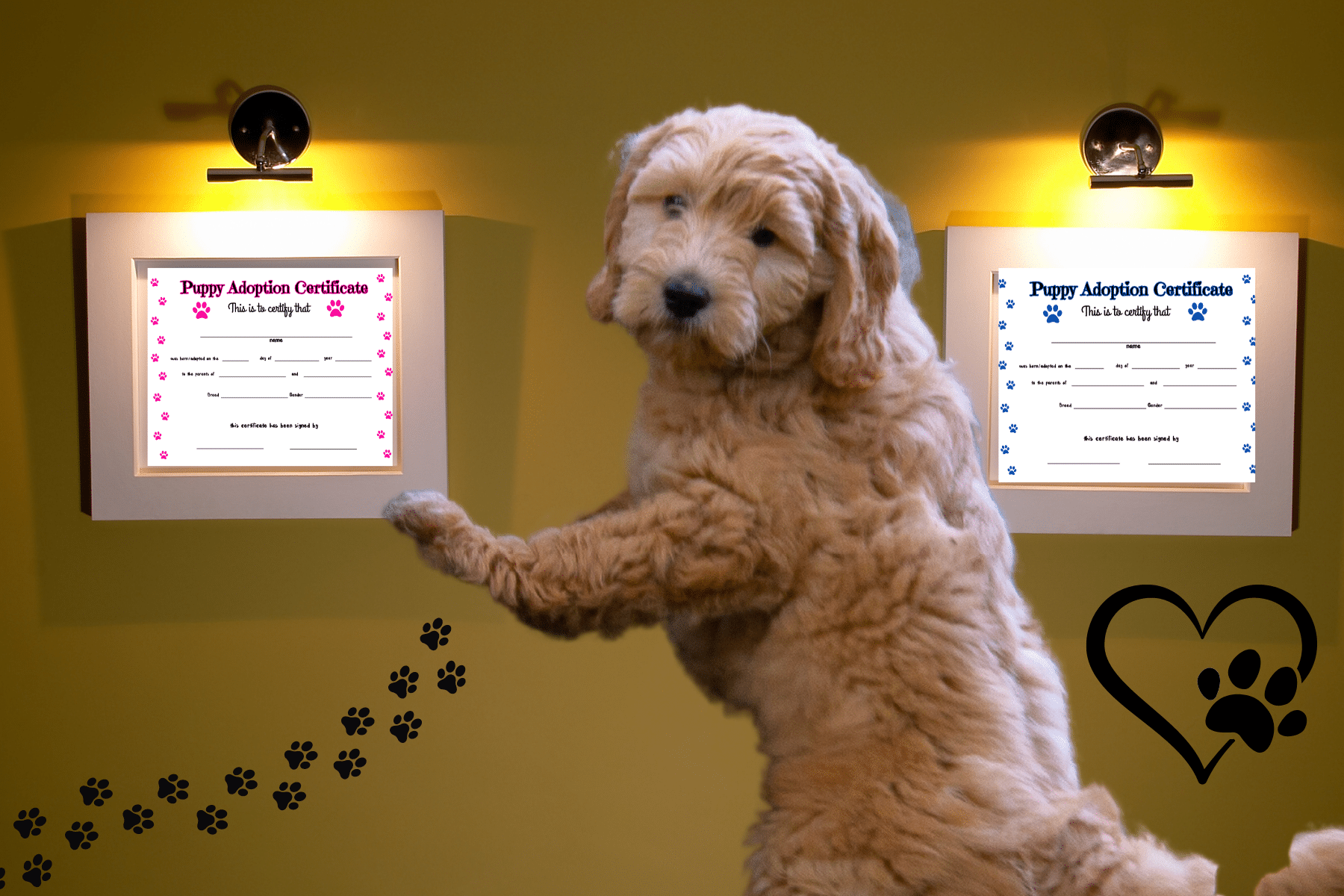 Grab a Free Pet Puppy Adoption Certificate Printable for New Dogs