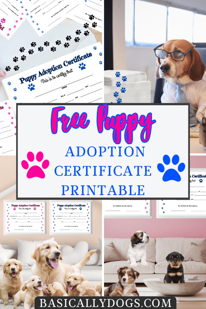 Free Pet Puppy Adoption Certificate Printable pins 1