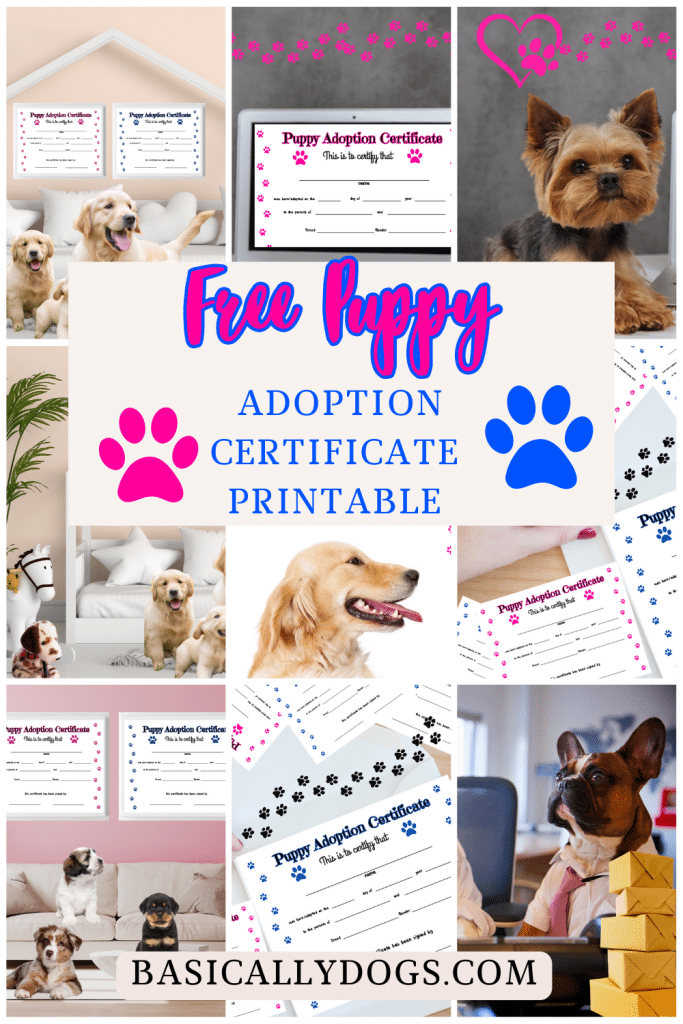 Free Pet Puppy Adoption Certificate Printable pins 7