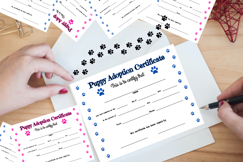 Free Pet Puppy Adoption Certificate Printable write it out