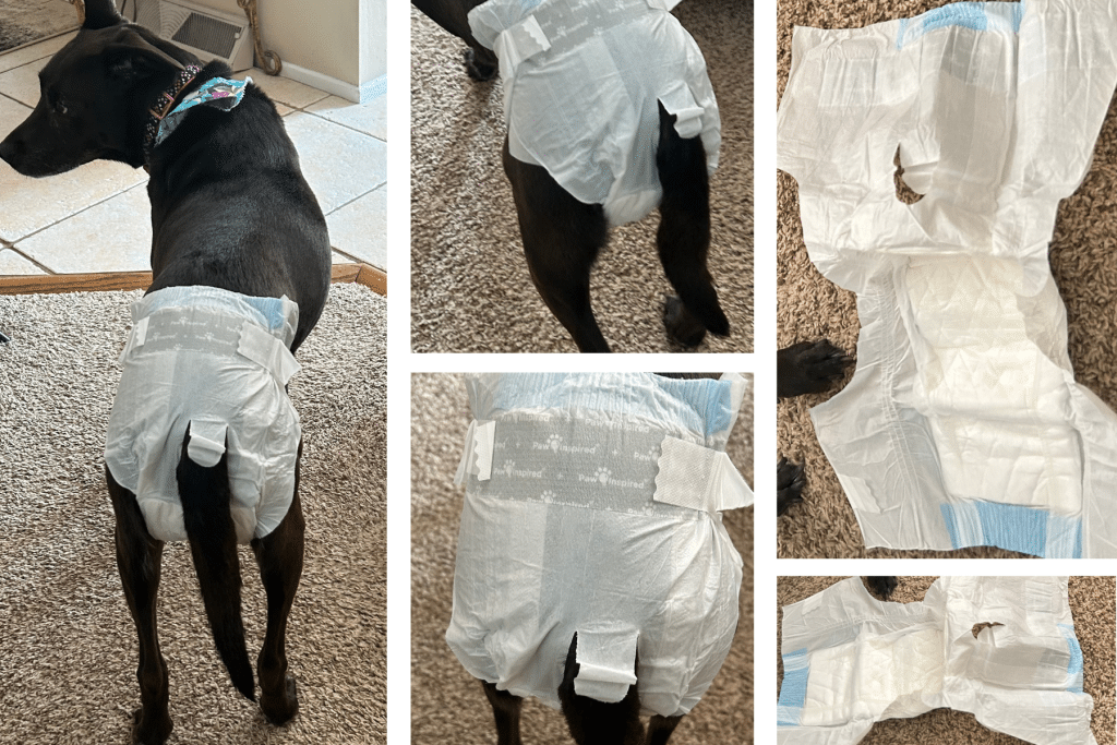 DIY female dog diapers picture of disposable diapers