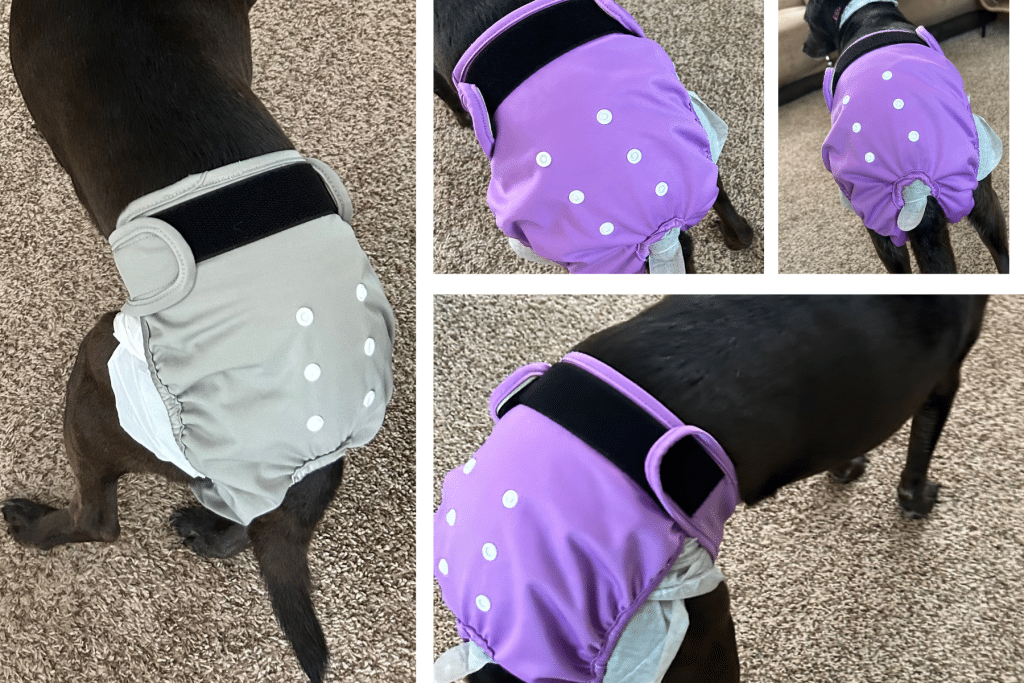 DIY female dog reusable diapers