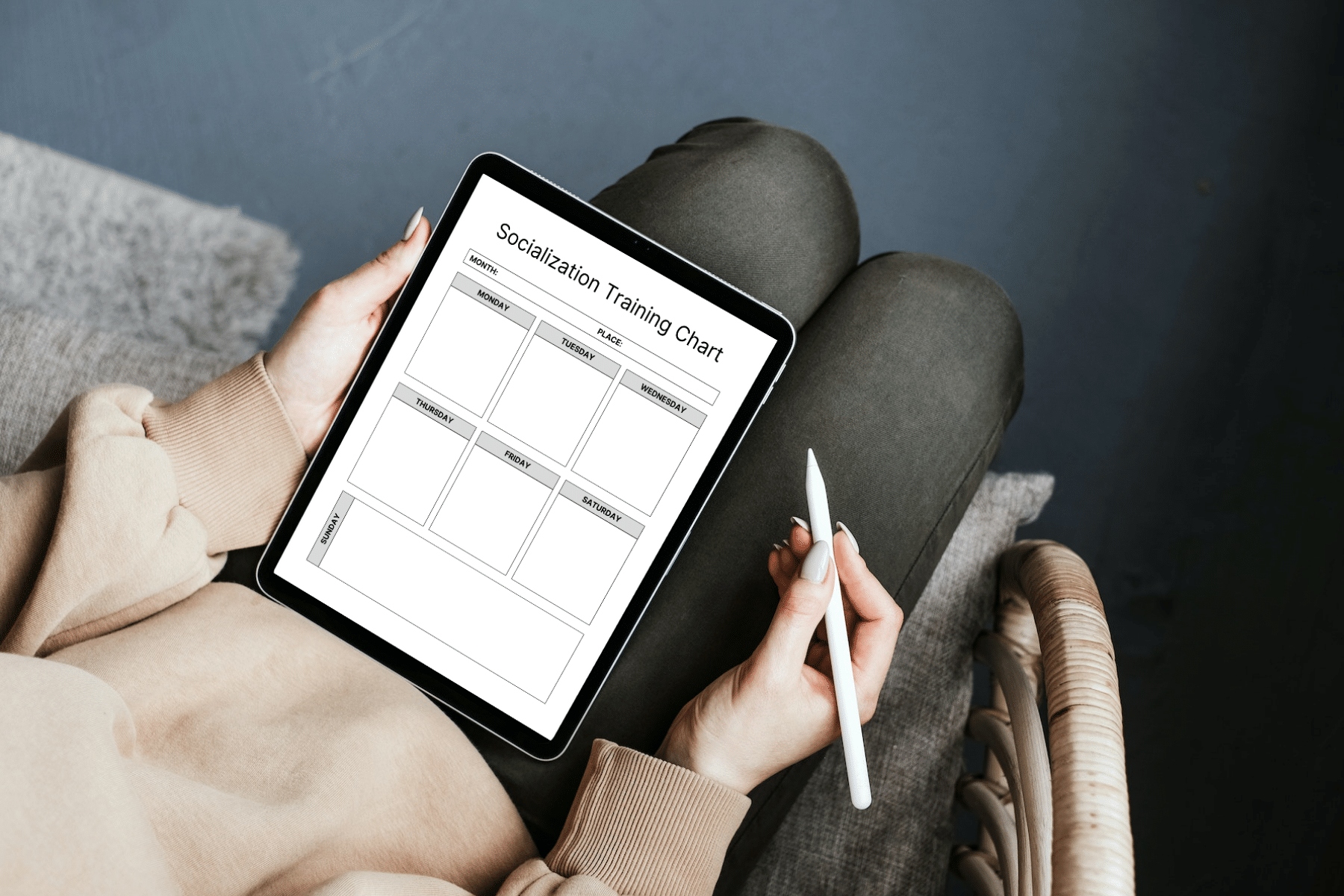 Free Printable Dog Training Plan Template to Download Basically Dogs