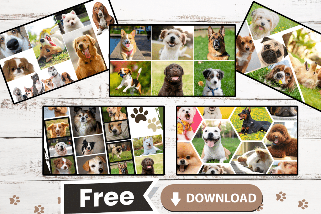 free dog Facebook cover photo to download