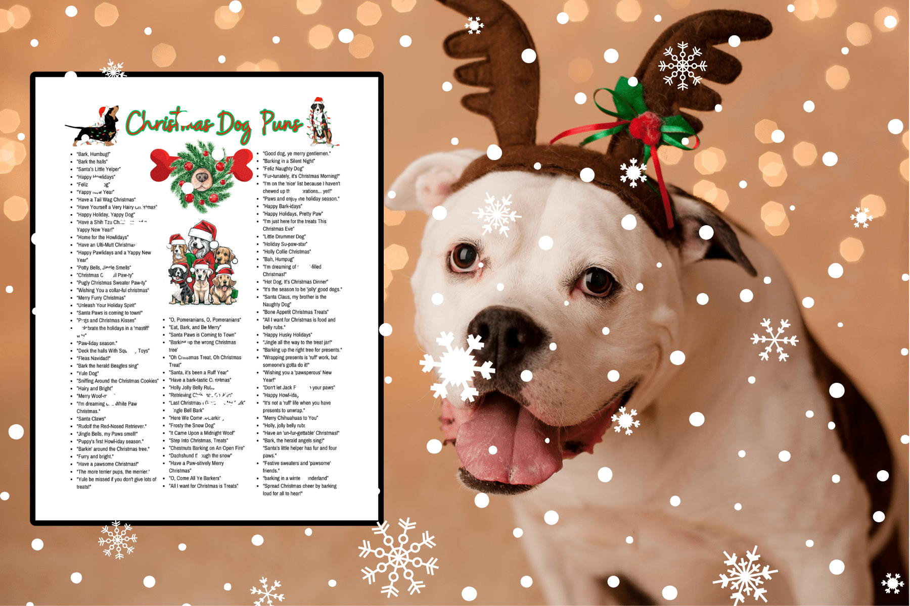 95 Best Holiday Dog Christmas Puns for a Fun and Festive Season