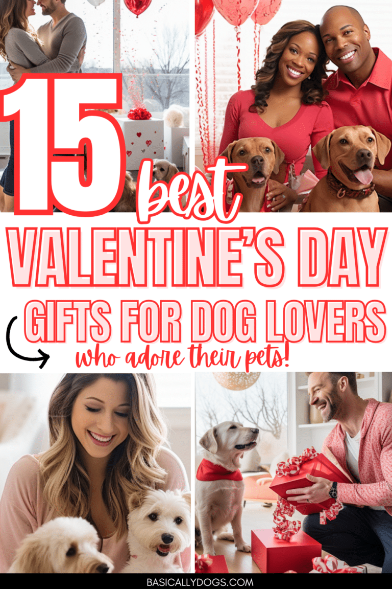 15 Valentine’s Day Gifts for Dog Lovers Who Adore Their Pets ...