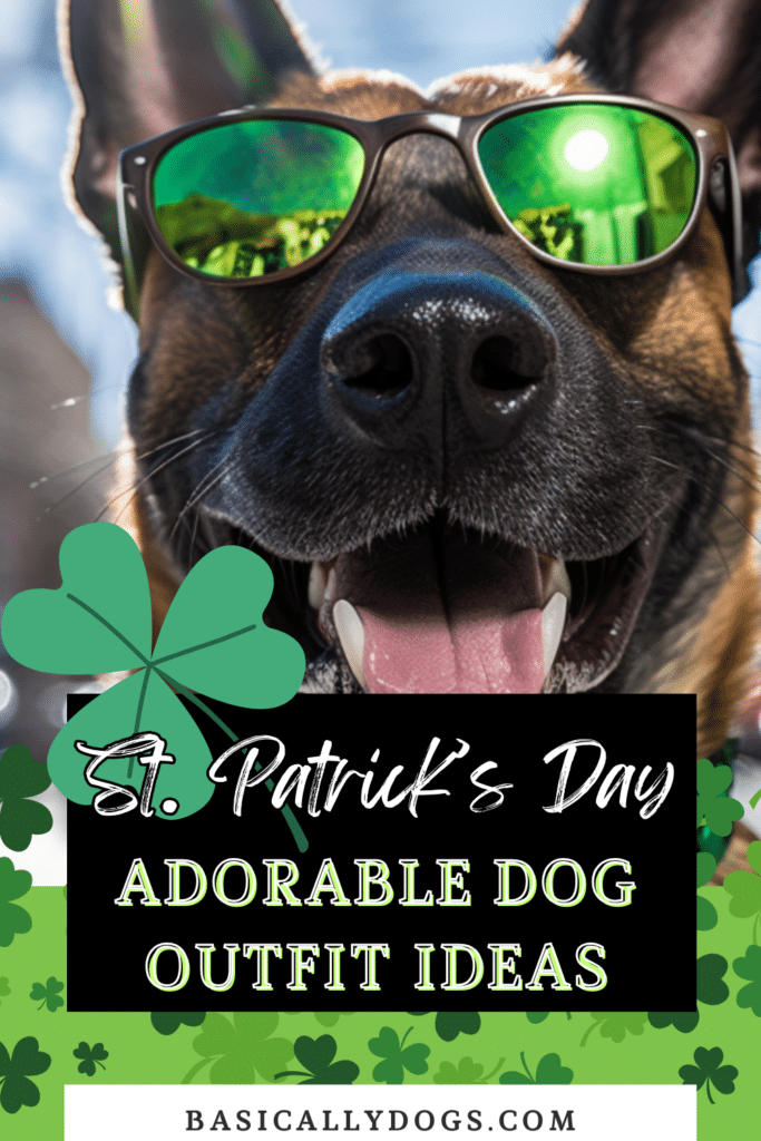 Dog St. Patrick's Day Outfits and Accessories pins 2