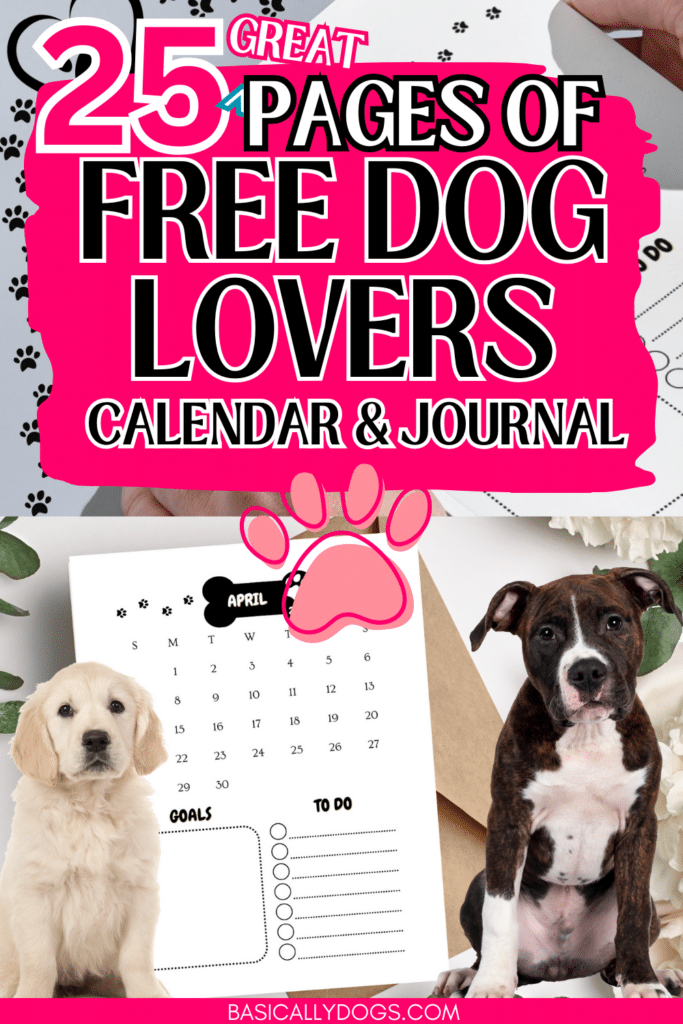 Printable Dog Lovers Calendar and Journal pin 1