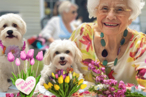 Creative Mother's Day Gifts for Dog Moms - Basically Dogs