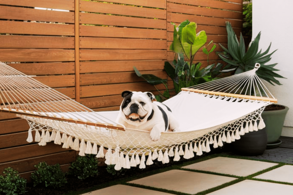 Easy DIY Dog-Friendly Backyard Privacy Ideas for Patio and Deck 3
