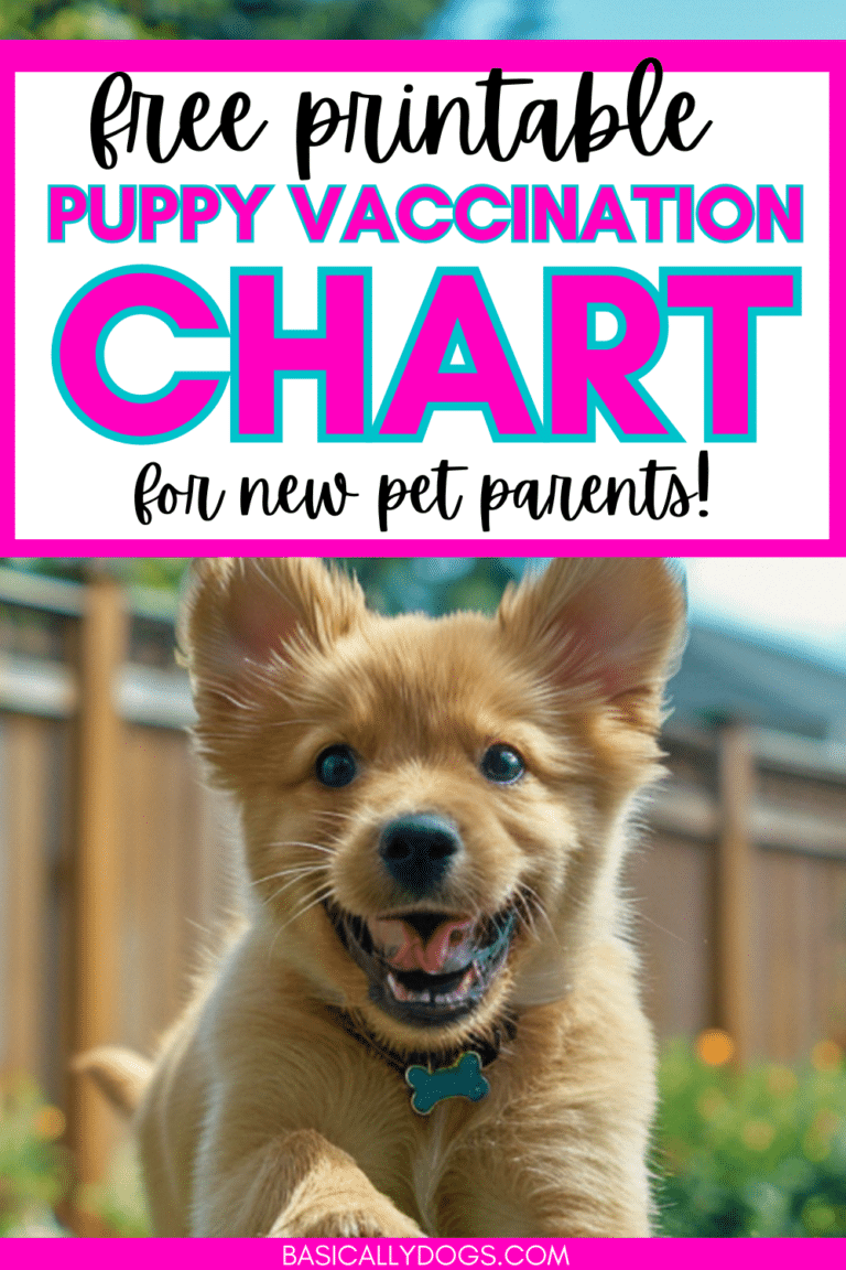 Free Puppy Vaccination Chart Printable PDF Download Form - Basically Dogs