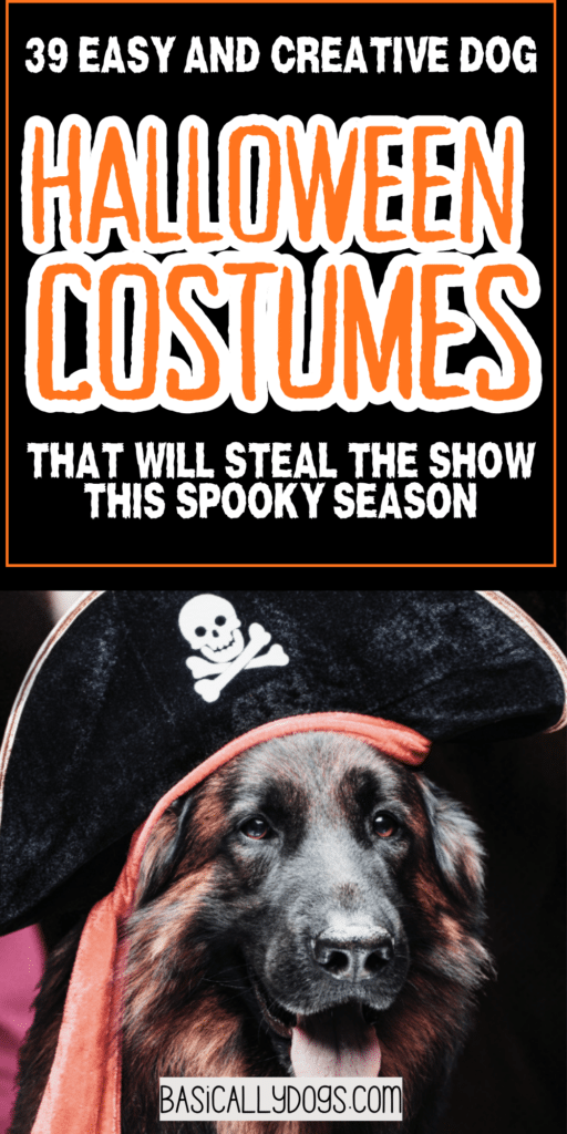 39 Dog Halloween Costumes That Are Too Cute Not to Try 2