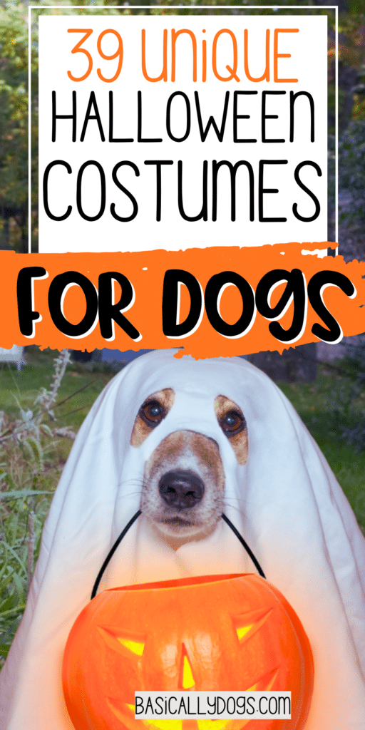 39 Dog Halloween Costumes That Are Too Cute Not to Try 3