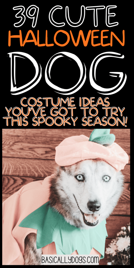 39 Dog Halloween Costumes That Are Too Cute Not to Try 4