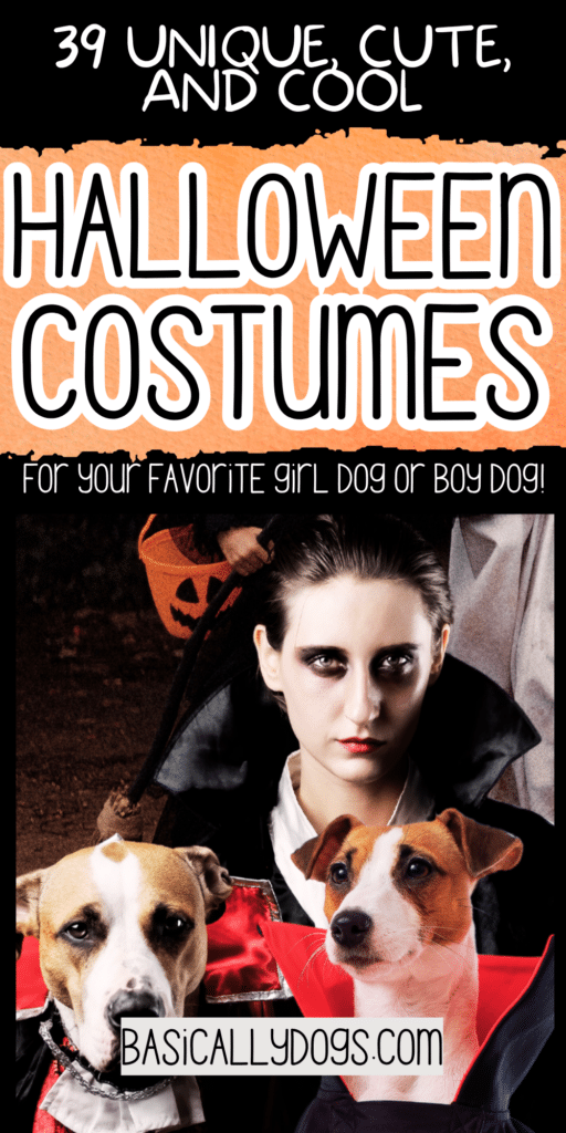 39 Dog Halloween Costumes That Are Too Cute Not to Try 5