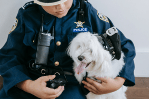 39 Best Dog Halloween Costumes for Your Pet - Basically Dogs