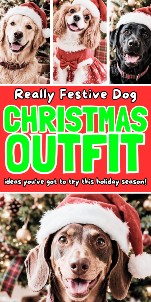 Dog Christmas Outfit_ Cute, Funny, and Festive Ideas for Your Pup 2
