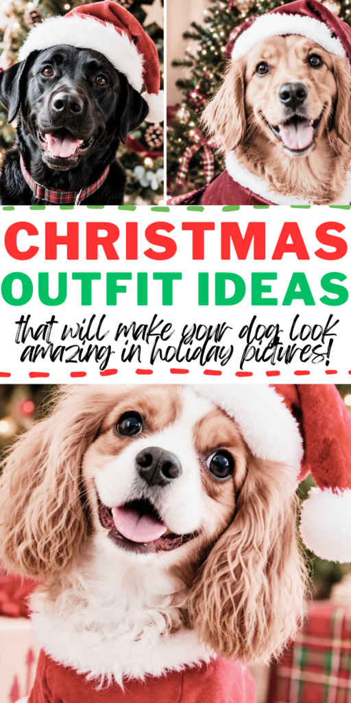 Dog Christmas Outfit_ Cute, Funny, and Festive Ideas for Your Pup 4