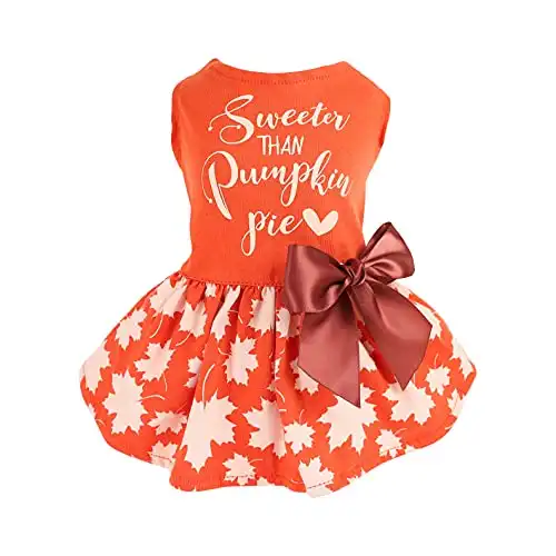 Happy Thanksgiving Day Turkey Autumn Leaves Pumpkin, Thanksgivig