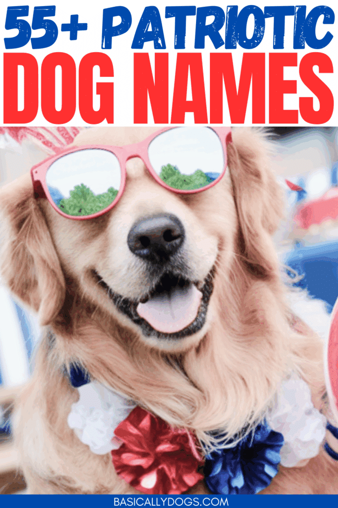 55+ Patriotic Dog Names Perfect for Your All-American Pup 1