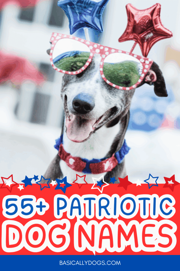 55+ Patriotic Dog Names Perfect for Your All-American Pup 2
