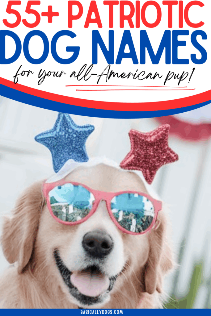 55+ Patriotic Dog Names Perfect for Your All-American Pup 3