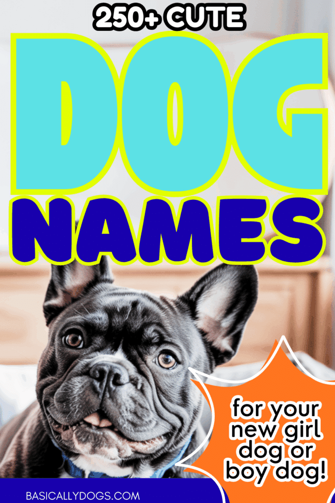 250+ Cute Dog Names_ Ultimate List of Girl Dog Names and Boy Dog Names 2