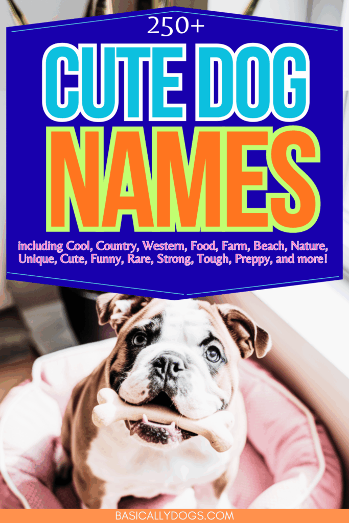 250+ Cute Dog Names_ Ultimate List of Girl Dog Names and Boy Dog Names 3