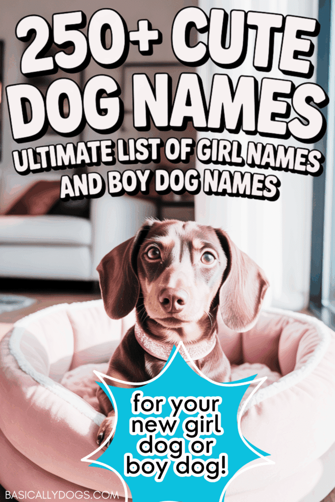 250+ Cute Dog Names_ Ultimate List of Girl Dog Names and Boy Dog Names 5